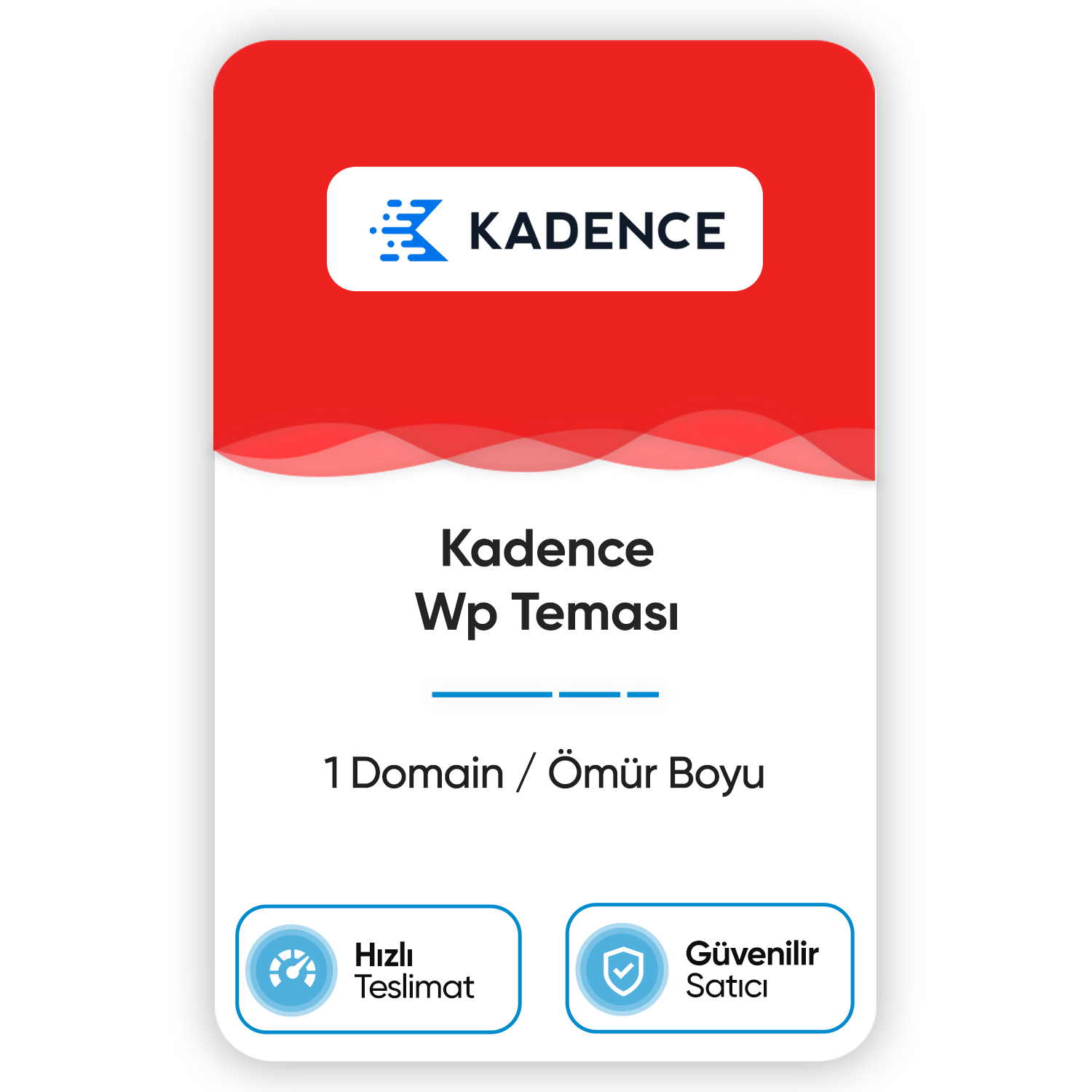 kadence-wp-temasi-1-domain-omur-boyu.png kadence wp temasi 1 domain omur boyu